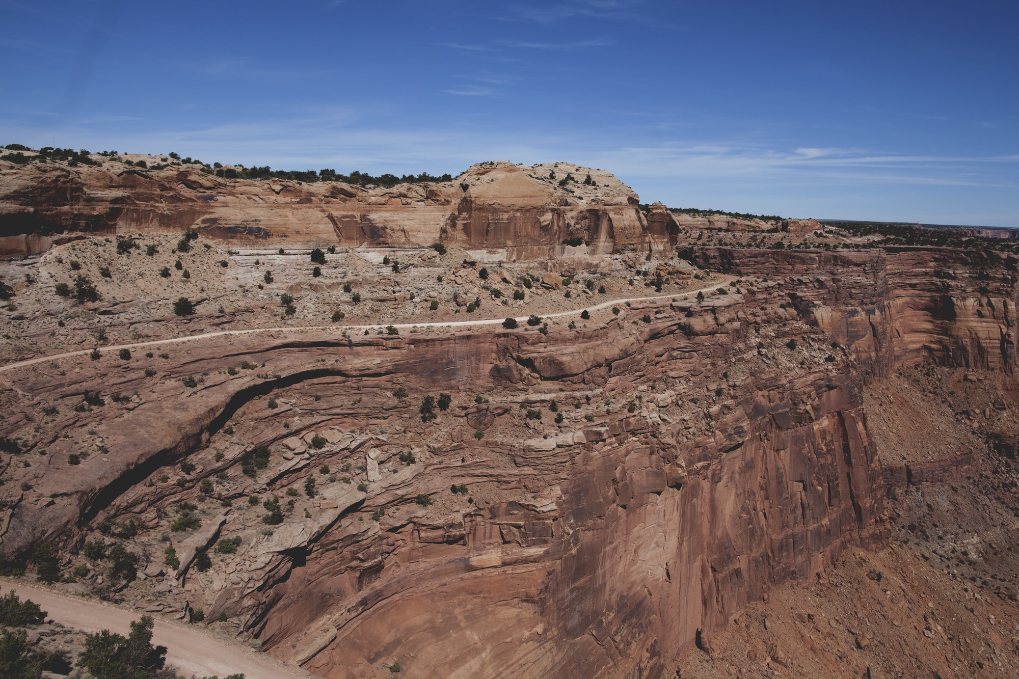 A Fiscal Sponsor Rises in the Desert
