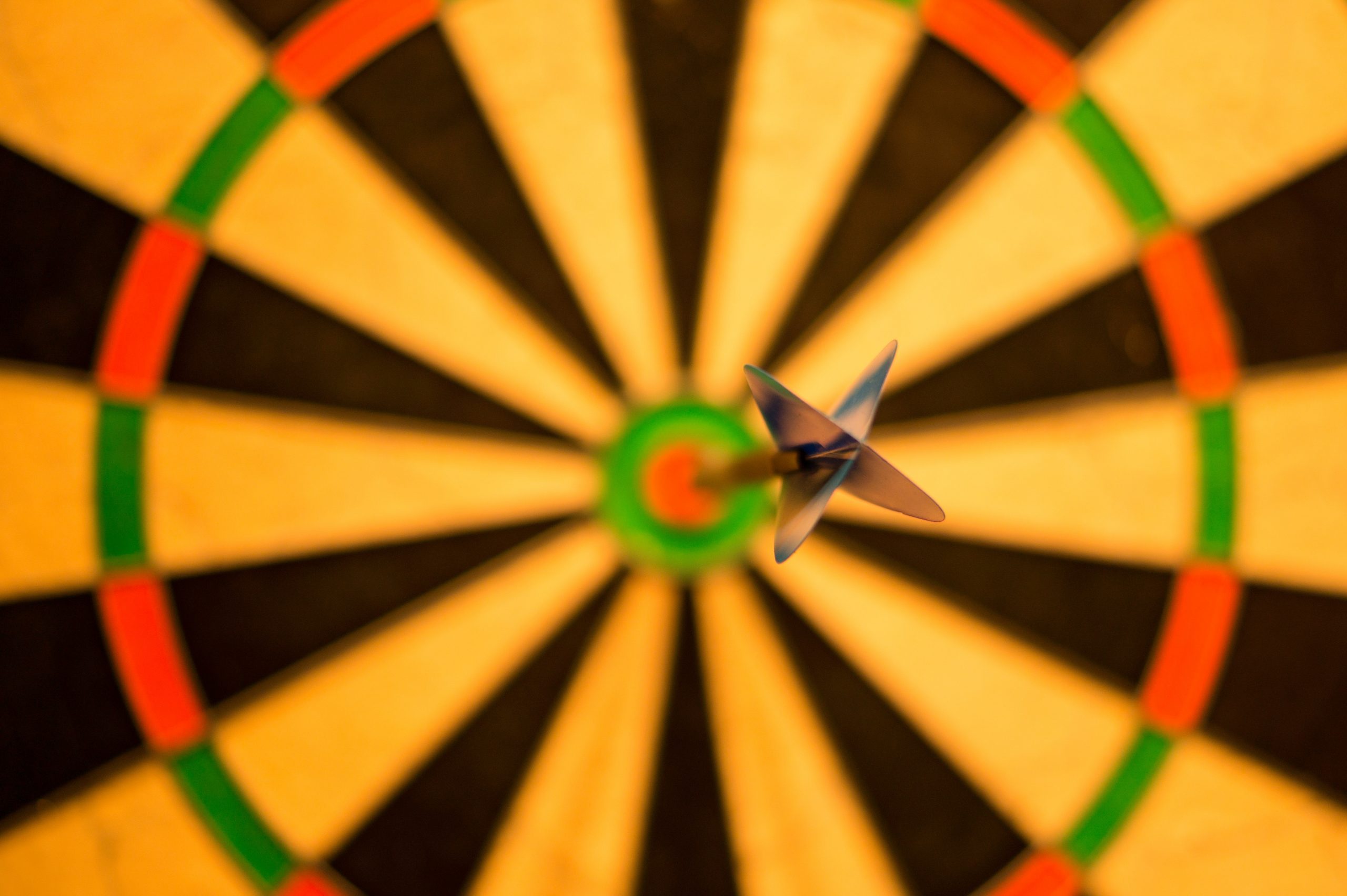 The Typology of Fiscal Sponsorship