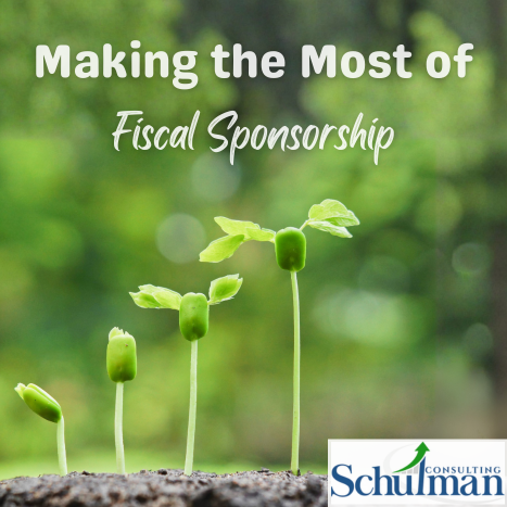 The Operating Manual for Model A Fiscal Sponsorship Is Here!